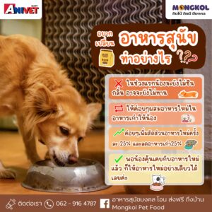 451983544_891880629625331_6840598799402500761_n